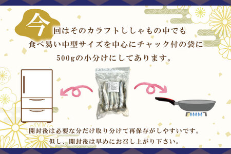 子持カラフトししゃも 2kg ししゃも _AL014