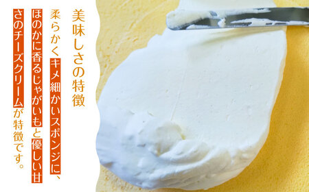カッツァ チーズ ＆ チョコ 12個入 / ケーキ スポンジケーキ クリーム / お菓子 おやつ じゃがいも スイーツ 贈答 ホクホク スイーツ すいーつ スイーツ / 南島原市 / グランビィラジュおおむら菓子舗 [SDS001]
