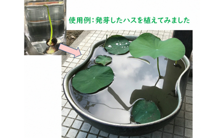 荒木田土20Kg (約17L) 1袋・A163-17
