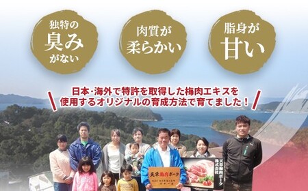 （飼育期間中）完全無薬！梅肉エキス肥育 熊本県産 天草梅肉ポーク 豚ロース しゃぶしゃぶ用 800g 200g×4パック 肉 お肉 豚肉 豚 ロース 小分け 冷凍 熊本県 上天草市