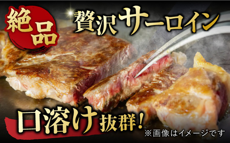 佐賀牛 ステーキ 400g ヒレ＆サーロイン[FDB022]