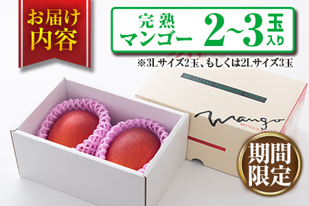 みやざき 完熟マンゴー 2玉 ～ 3玉 期間限定 数量限定 マンゴー 宮崎 フルーツ 果物 くだもの 国産 食品 先行予約 2026 令和8年発送 濃厚 デザート おやつ おすすめ 冷蔵 ご褒美 贅沢 おすそわけ 化粧箱入り ギフト プレゼント 贈り物 贈答 日南市 送料無料_DA33-24