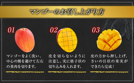 完熟マンゴー 太陽のタマゴ 2玉 ～ 3玉 期間限定 数量限定 マンゴー 宮崎 フルーツ 果物 くだもの 国産 食品 先行予約 2026 令和8年発送 濃厚 デザート おやつ おすすめ 冷蔵 ご褒美 おすそわけ 化粧箱入り ギフト プレゼント 贈り物 贈答 日南市 送料無料_FD13-25