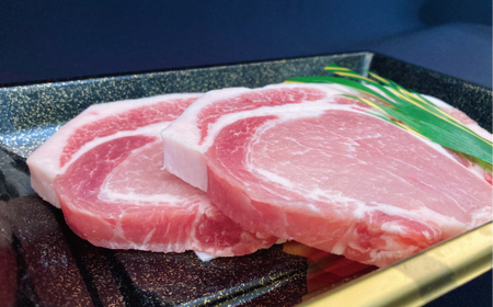 美明豚 ロース とんかつ・ソテー用 280g 140g×2枚 ブランド豚 銘柄豚 国産 最高級 豚肉 肉 冷凍 ギフト 贈り物 お祝い ご自宅用 贈答用 焼肉 茨城県共通返礼品