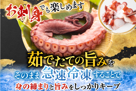 【北海道根室産】お刺身用たこ足2本(計2～2.5㎏) C-76027