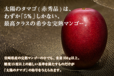 完熟マンゴー 太陽のタマゴ 赤秀品 4L × 2玉 期間限定 数量限定 マンゴー 宮崎 フルーツ 果物 くだもの 国産 食品 先行予約 2026 令和8年発送 濃厚 デザート おやつ おすすめ 冷蔵 ご褒美 贅沢 おすそわけ 化粧箱入り ギフト 贈り物 贈答 日南市 送料無料_H7-191
