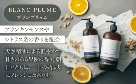 【全3回定期便】COKONLAB ハンド＆ボディウォッシュ BR480ml 2本セット【株式会社 あつまるホールディングス NSP山鹿工場】化粧品 コスメ 美容 国産 ボディケア ハンドケア [ZBR023]