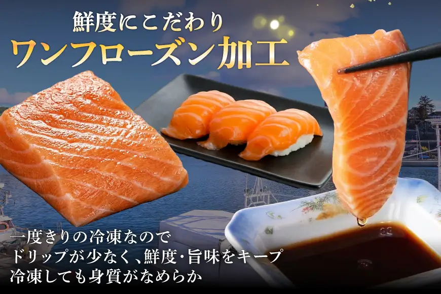 ノルウェー産 アトランティックサーモン 総重量 1kg 小分け サーモン [宮城県 気仙沼市 20565509]