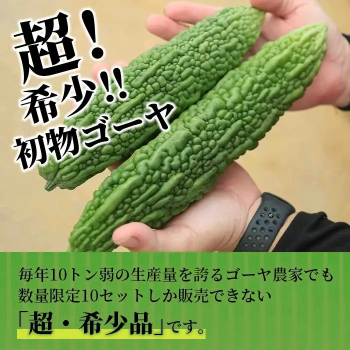 【予約受付】 贈答用 「初物ゴーヤ」 OI-1