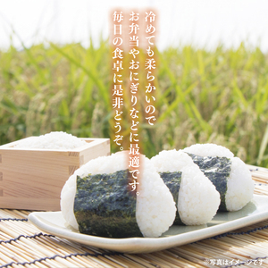 【3ヶ月定期便】【谷田部農産】【特別栽培米】立神米こしひかり（白米）定期便 5kg 3回お届け ｜茨城県 大子町 コシヒカリ 米 コンテスト 受賞 生産者 大子産米 産地直送 令和7年産（BT070）