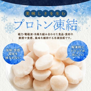 道水 北海道産プロトン帆立1kg ほたて 貝柱 お刺身 生食 _HD108-010