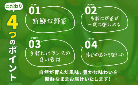 【定期便】 野菜 10品程度 計3回【メロンドーム】 定期便 3ヶ月お届け 詰め合わせ セット 国産 九州産 熊本県 菊池市 道の駅 送料無料《お申し込みの翌月から出荷》