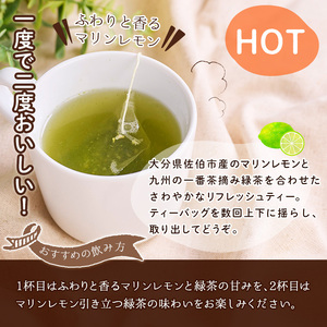 マリンレモン緑茶(4袋・2g×6個) お茶 ティー リフレッシュティー 防災【HD203】【さいき本舗 城下堂】