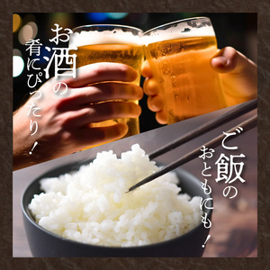 「博多徳永」焼手羽めんたい10本（5本×2P） _KHT0305