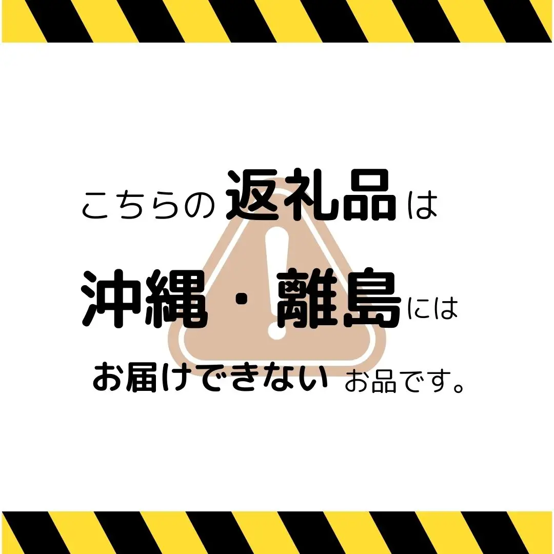 【2026年先行予約】シナノゴールド 約3kg| りんご りんご
