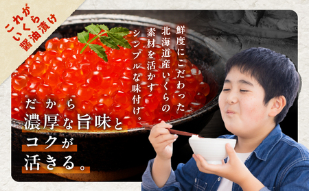 【王子サーモン】生を超えた「とろ生サーモン」と北海道産秋鮭 いくら醤油漬セット 計580g　T041-001 魚 魚介類 加工食品