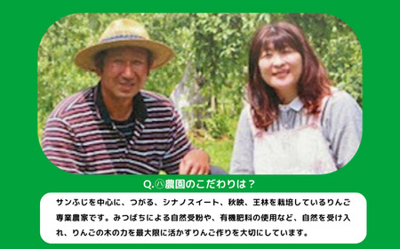 りんご サンふじ 極選 5kg マルハ農園 2026年12月上旬頃から2026年12月中旬頃まで順次発送予定 令和8年度収穫分 エコファーマー認定 信州 果物 フルーツ リンゴ 林檎 長野 予約 農家直送 長野県 飯綱町 [1639]