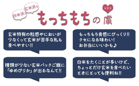 【玄米パックご飯】北海道産ゆめぴりか使用 150g×24個入り やわらかい玄米ごはん  レトルト 玄米 パックライス レンジ 保存食 非常食 防災 キャンプ ごはん 玄米 一人暮らし 備蓄 タイパ飯 安心安全なヤマトライス　H074-633