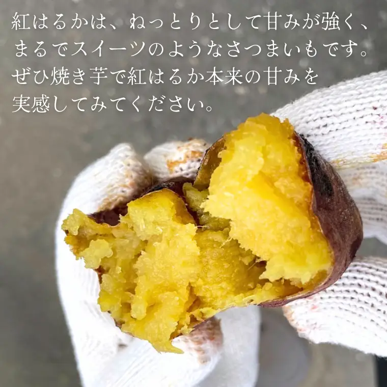 2025年度産 紅はるか 約10kg 【茨城県共通返礼品／行方市】 渋谷農園 さつまいも いも 芋 焼芋 [DT002sa]