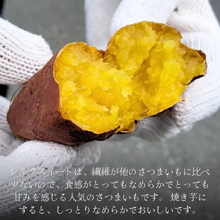 シルクスイート 約5kg (茨城県共通返礼品／行方市) 2025年11月から発送開始 渋谷農園 さつまいも いも 芋 焼き芋 [DT009sa]