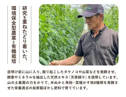 有機JASとっぺんトマト 約4kg 旬 お取り寄せ 詰め合わせ 贈答 ギフト お中元 お歳暮 熊本 阿蘇 産山村 送料無料 トマト 無農薬 有機《7月上旬-8月下旬頃出荷》