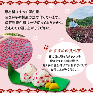 紅筍梅 タケノコの梅干し漬け 紅白梅干しセット 800g