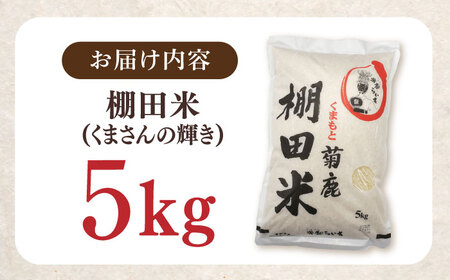 菊鹿 棚田米 5kg【ミヤタ 株式会社 】熊本 精米 熊本 白米 ごはん 米 こめ お米 [ZAH001]