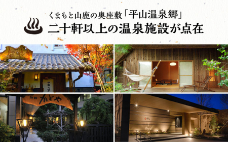 平山温泉 観光協会ふるさと応援寄附 感謝券 1,000円相当×10枚【一般社団法人 平山温泉観光協会】[ZBW003]