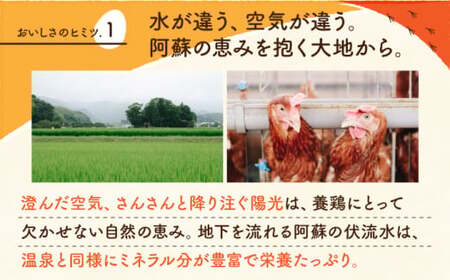 【全3回定期便】 【化粧箱入り】赤たまご M玉 40個 (37個＋割れ保証3個)【株式会社 かもと養鶏】 タマゴ 玉子 熊本県 卵 国産 新鮮 濃厚 化粧箱  [ZCA003]