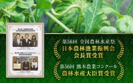 熊本スイカ先行予約 大玉すいかLサイズ西瓜スイカZCM001