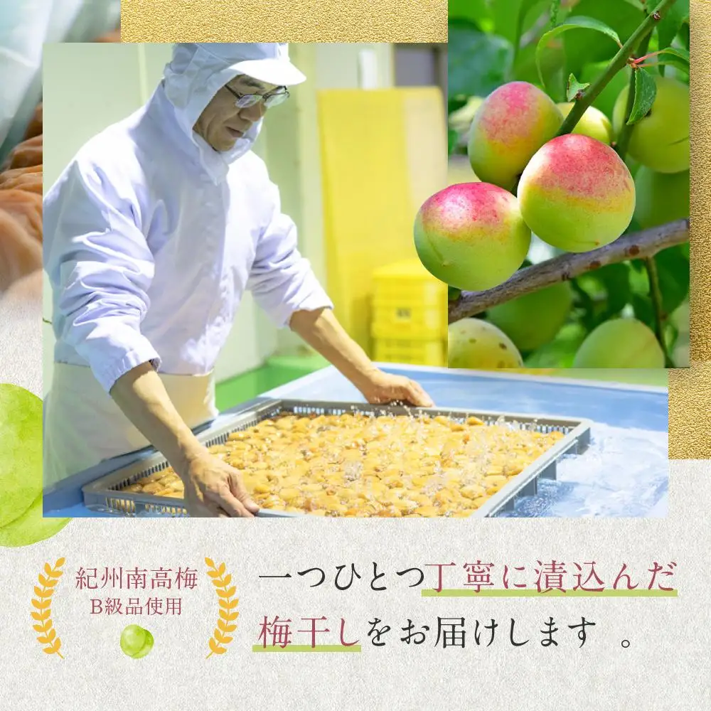 うす塩味 梅干し 紀州南高梅 700g ( 350g × 2 ）塩分 約10％ ご自宅の郵便受けにお届けします ご家庭用