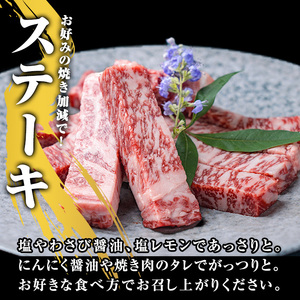 鹿児島県産 黒毛和牛 (A5等級) サーロイン ステーキ スティック 計500g(250g×2枚) 牛肉 国産 小分け【カミチク】A391-v01