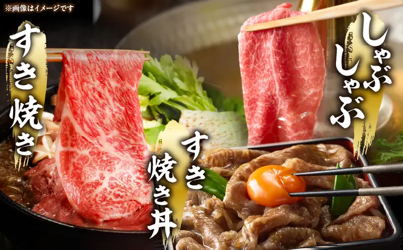 宮崎県産黒毛和牛A4等級以上 高千穂牛ウデスライスすき焼き用 500g ウデスライス 牛肉 肉 お肉 精肉 A4 ブランド牛 国産牛 黒毛和牛 国産 国産牛肉 すき焼き しゃぶしゃぶ 鍋 すきしゃぶ 料理 普段使い 冷凍_Tk002-067