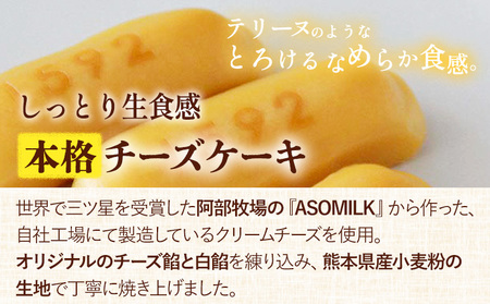 濃厚生チーズケーキ 1592 ヒゴクニ 16個入り 古今堂 《30日以内に出荷予定(土日祝除く)》 熊本県 南阿蘇村 チーズケーキ チーズ ひごくに お菓子 スイーツ