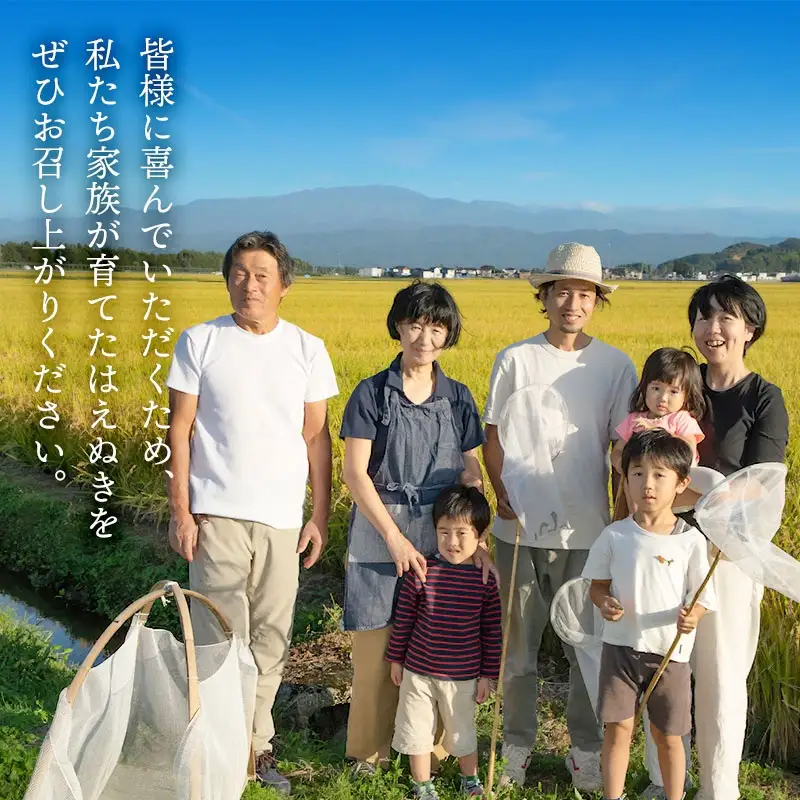 【令和8年産先行予約】 富樫農園のはえぬき 精米10kg(5kg×2袋) 山形県鶴岡市産　K-881