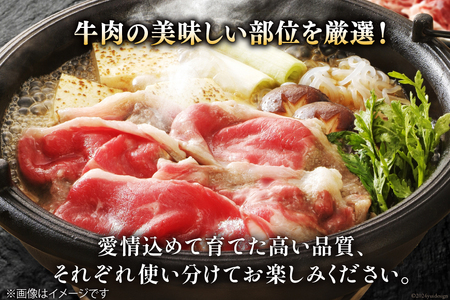 宮崎県産 黒毛和牛 スライス セット 切り落とし モモ リブロース 肩ロース カタ 500g×3 計1.5kg [サンアグリフーズ 宮崎県 美郷町 31ba0029]