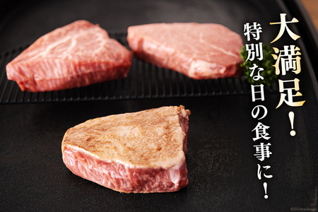 宮崎県産 黒毛和牛 ヒレ フィレ ヘレ ステーキ 110g ×3枚 計330g [サンアグリフーズ 宮崎県 美郷町 31ba0030]