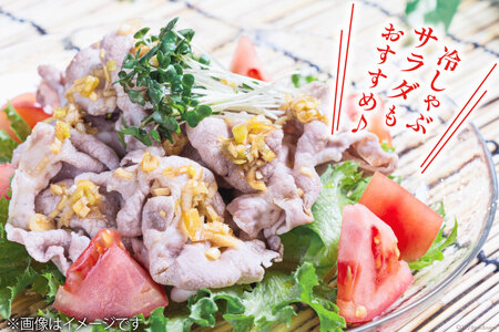 宮崎県産 豚バラ しゃぶしゃぶ 切落し 500g×3 計1.5kg [サンアグリフーズ 宮崎県 美郷町 31ba0031]