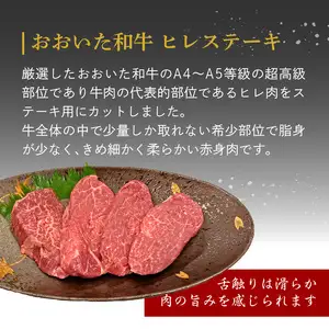 厳選A4～A5等級 おおいた和牛 ヒレステーキ 4枚 400g A01131
