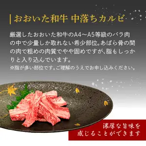 厳選A4～A5等級 おおいた和牛 中落ちカルビ 500g A01133
