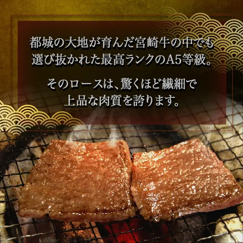 宮崎牛(A5)ロース焼肉用500g_AD-0114_(都城市) 牛肉 最高級A5ランク 5等級 都城産 ブランド牛 ロース肉 焼肉用