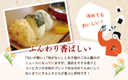 米 10kg 【 令和7年産 】コシヒカリ 香り米 ヒエリ 入り 四万十のかおり 5kg ×2袋 国産 こしひかり ブレンド 精米 白米 ごはん おいしい 高知県 四万十市 四万十 しまんと R8-153