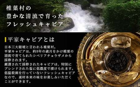 【日本三大秘境×世界三大珍味】キャビア焼売 8個入り×2パック＆平家キャビア 5gセット チョウザメ キャビア しゅうまい 焼売 魚卵 卵 魚介 珍味 SZ-136