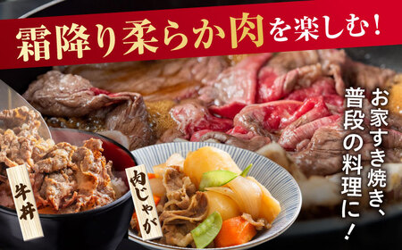 3回定期便 訳あり佐賀産和牛 切り落とし 600g 牛肉定期便FDB027]