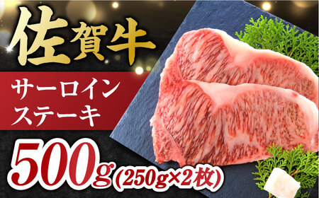 【6回定期便】艶さし！ 佐賀牛 ヒレステーキ＆サーロインステーキ 食べ比べ セット 計4.8kg  (ヒレ150g・サーロイン250g×各2枚×6回) 吉野ヶ里町 佐賀牛 ヒレ サーロイン ステーキ 牛肉 肉 ブランド牛 [FDB037]