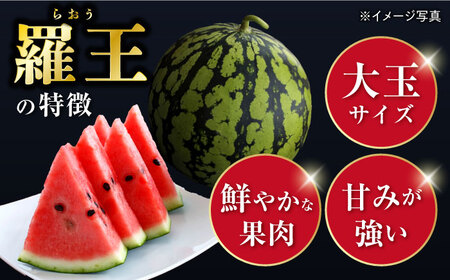 【先行予約：2026年7月上旬より配送】 スイカ 羅王 1玉（約6kg～7kg）＜ファームまるだ＞ [CDT007] スイカ