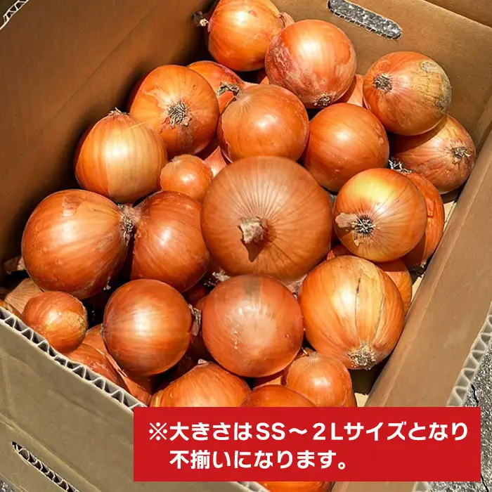 淡路島玉葱 5kg 【栽培期間中、無農薬栽培】サイズ混合SS～2L 玉ねぎ