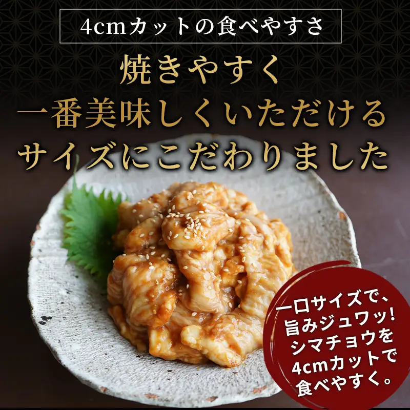 訳あり 中トロホルモン 3kg にんにく味噌味 （250g×12）ホルモン