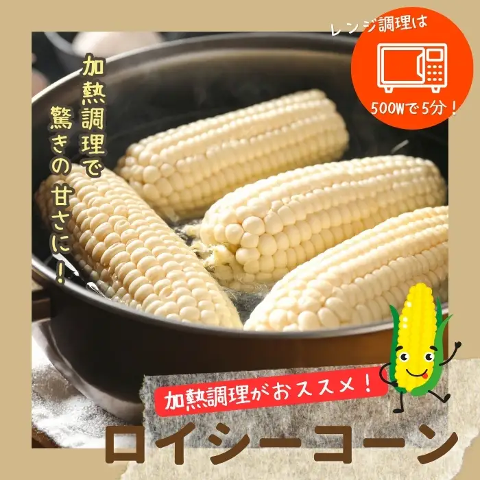【2026年7月下旬頃発送】「ロイシーコーン」 8本 約1.6kg【たかだ畑】とうもろこし スイートコーン 白い 野菜 産地直送 とうきび BBQ バーベキュー キャンプ 甘い 北海道 比布町 ぴっぷ 1018-001