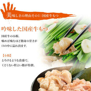 【ふるさと納税】博多 もつ鍋 セット 味噌味 5-6人前 [a9207] 株式会社フェリックス ※配送不可：離島【返礼品】添田町 ふるさと納税